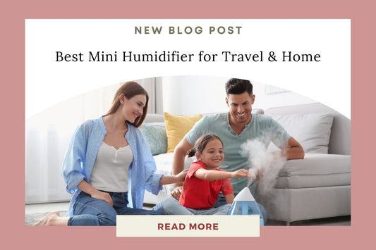 Best Mini Portable Humidifier for Travel & Home - Eunoia Selects