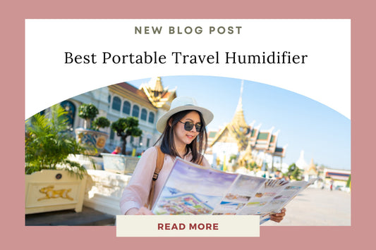 Best Portable Travel Humidifier for Your Comfort - Eunoia Selects