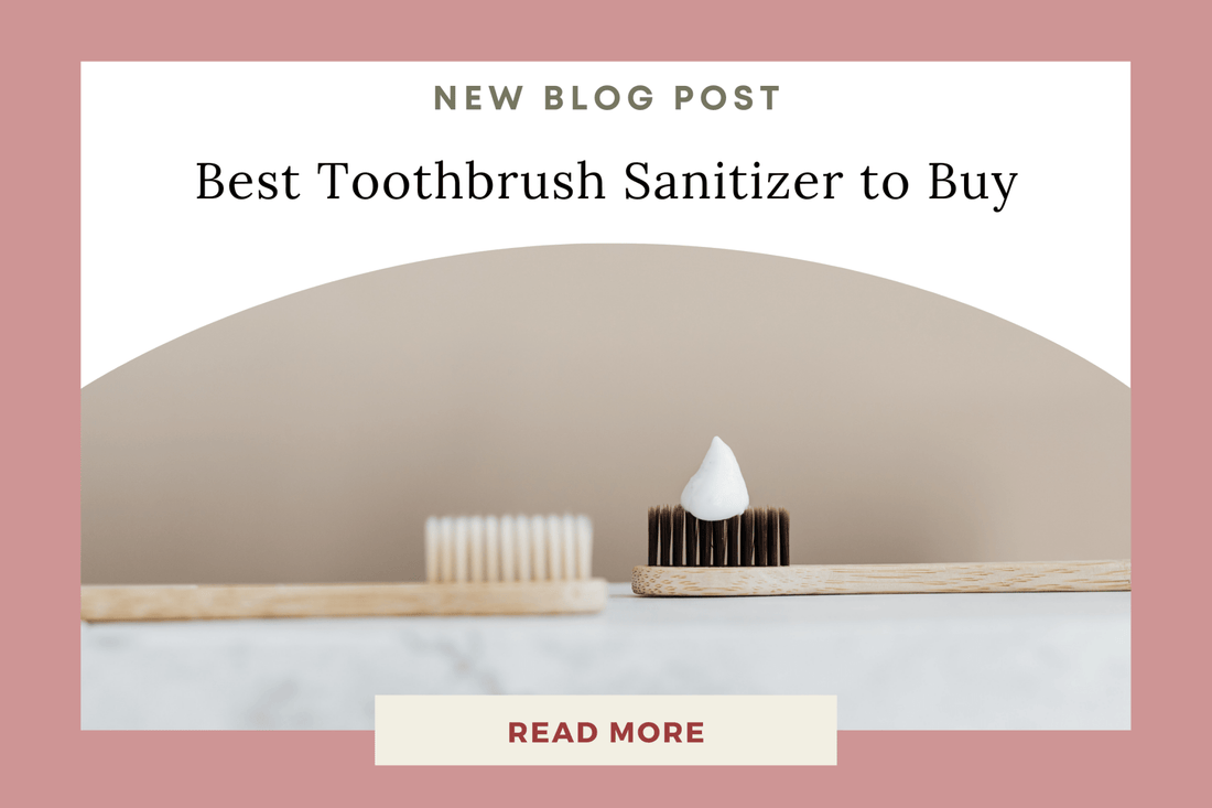 Best Toothbrush Sanitizer to Buy - Eunoia Selects