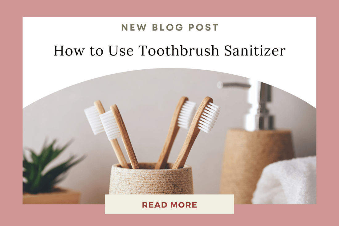 How to Use the Nexus UV Bacteria-Killing Toothbrush Holder Travel Case - Eunoia Selects