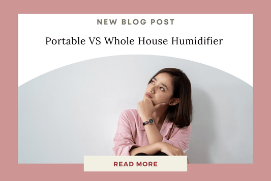 Portable Humidifiers vs. Whole-House Humidifiers: Which Is Right for You? - Eunoia Selects