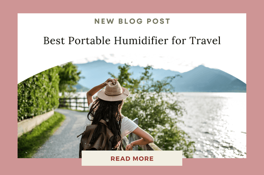 Stay Fresh and Hydrated Anywhere: The Best Portable Humidifier for Travel - Eunoia Selects