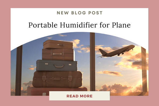 Stay Hydrated in the Skies: The Ultimate Guide to Using a Portable Humidifier on Planes - Eunoia Selects