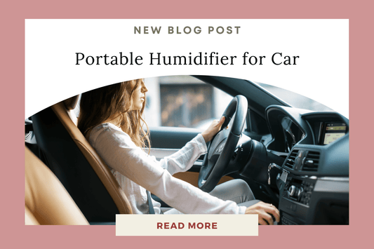 Why a Portable Humidifier is a Must-Have for Your Car - Eunoia Selects